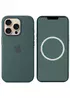 Чохол Silicone case (AAA) full with Magsafe and Animation для Apple iPhone 16 Pro (6.3") Lake Green