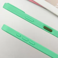 Чехол Silicone Case Full Protective (AA) для Apple iPhone 16 (6.1") Зеленый / Spearmint