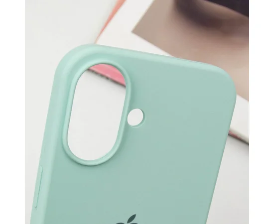 Чехол Silicone Case Full Protective (AA) для Apple iPhone 16 (6.1") Бирюзовый / Turquoise