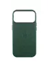 Кожаный чехол Leather Case (AAA) with MagSafe and Animation для Apple iPhone 17 Pro Max (6.9") Green