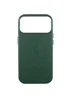 Кожаный чехол Leather Case (AAA) with MagSafe and Animation для Apple iPhone 17 Pro (6.3") Green