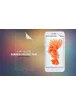 Защитная пленка Nillkin для Apple iPhone 7 plus / 8 plus (5.5") Матовая