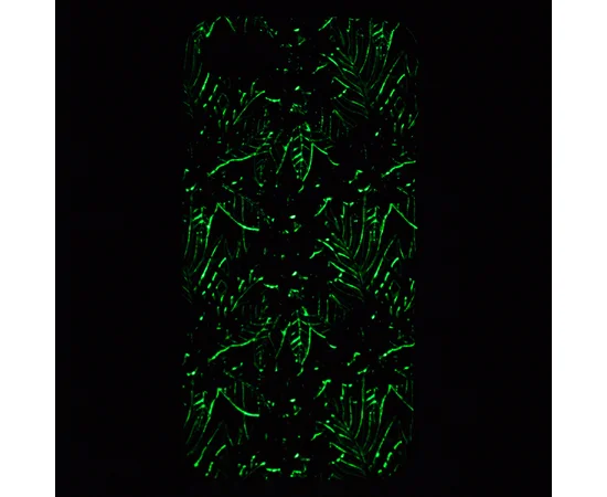 Tpu чехол "SM" светящийся (Glow in the Dark) для Apple iPhone 7 / 8 (4.7") Черный