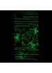 Tpu чехол "SM" светящийся (Glow in the Dark) для Apple iPhone 7 / 8 (4.7") Белый / Синий