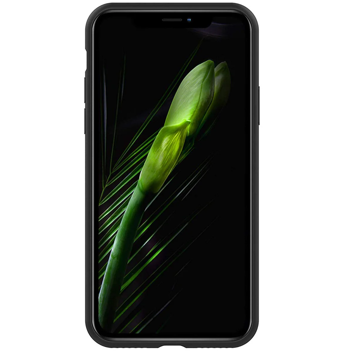 Чохол Silicone case (A) (з закритим низом) для Apple iPhone X / XS Чорний / Black