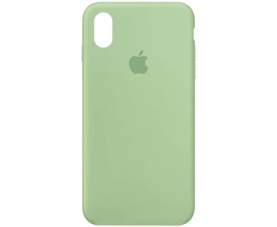 Чехол Silicone Case Full Protective (AA) для Apple iPhone X/XS Зеленый / Pistachio