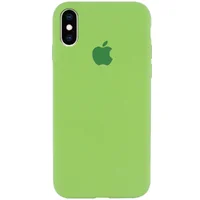 Чехол Silicone Case Full Protective (AA) для Apple iPhone X/XS Мятный / Mint