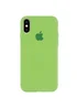 Чехол Silicone Case Full Protective (AA) для Apple iPhone X/XS Мятный / Mint