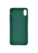 Силиконовый чехол Candy для Apple iPhone X / XS (5.8") Зеленый / Forest green