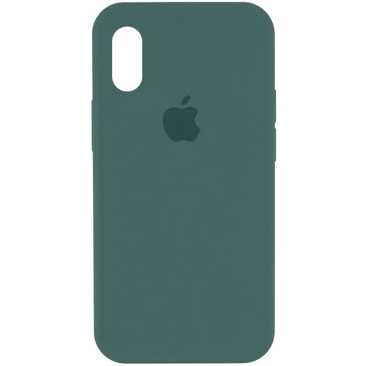 Чохол Silicone Case Full Protective (AA) для Apple iPhone X/XS Зелений /Light cactus
