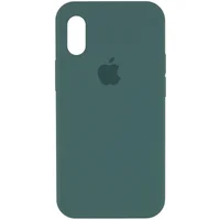 Чохол Silicone Case Full Protective (AA) для Apple iPhone X/XS Зелений /Light cactus