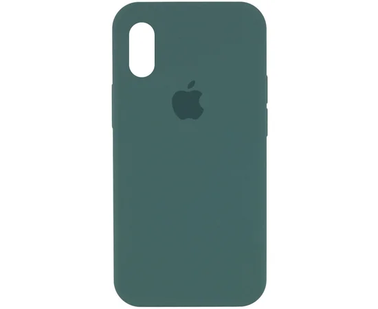 Чехол Silicone Case Full Protective (AA) для Apple iPhone X/XS Зеленый /Light cactus