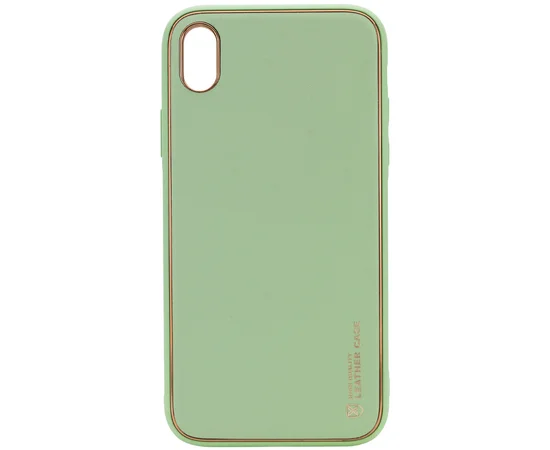 Кожаный чехол Xshield для Apple iPhone X / XS (5.8") Зеленый / Pistachio