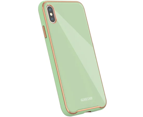 TPU+Glass чехол Venezia для Apple iPhone X / XS (5.8") Мятный / Mint
