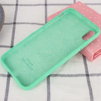 Чехол Silicone case (A) (с закрытым низом) для Apple iPhone X/XS Зеленый / Spearmint
