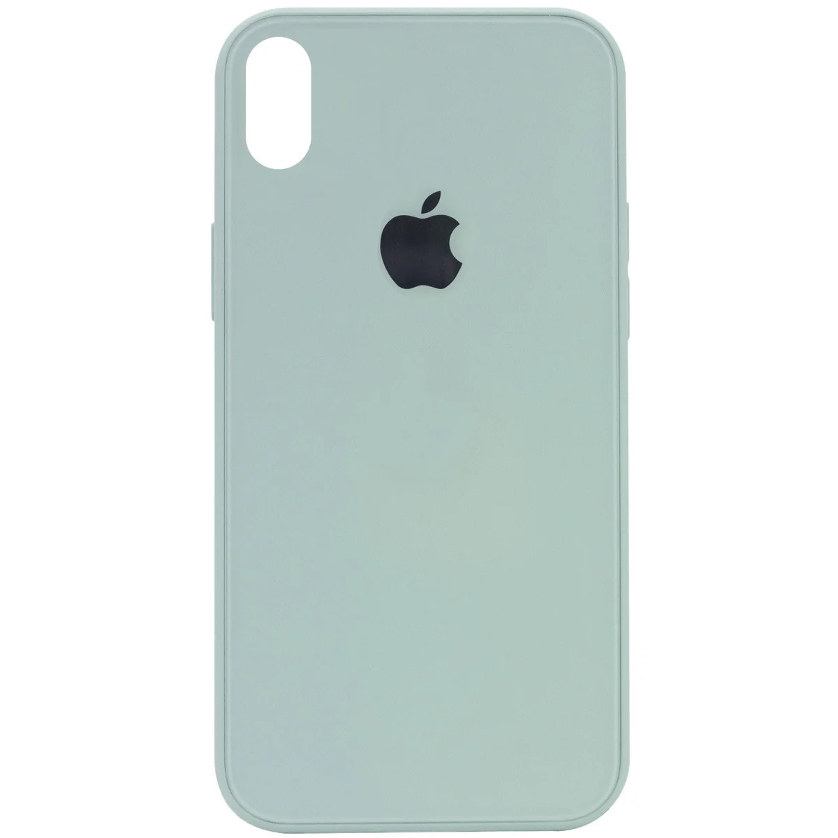 TPU + Glass чохол GLOSSY Logo Full camera для Apple iPhone X / XS (5.8 ") М'ятний