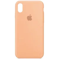 Чехол Silicone Case Full Protective (AA) для Apple iPhone X/XS Оранжевый / Cantaloupe