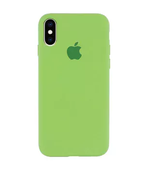 Чехол Silicone Case Full Protective (AA) для Apple iPhone X/XS Мятный / Mint