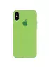Чехол Silicone Case Full Protective (AA) для Apple iPhone X/XS Мятный / Mint