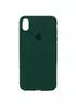 Чехол Silicone Case Full Protective (AA) для Apple iPhone X/XS Зеленый / Forest green