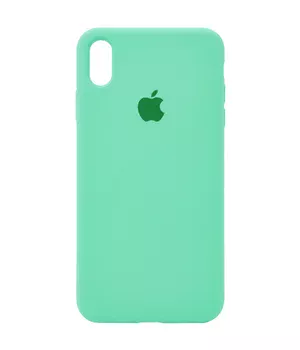Чехол Silicone case (A) (с закрытым низом) для Apple iPhone X/XS Зеленый / Spearmint
