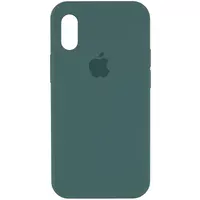 Чехол Silicone Case Full Protective (AA) для Apple iPhone X/XS Зеленый /Light cactus