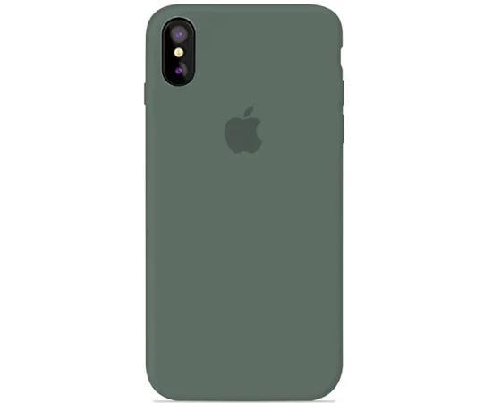 Чехол Silicone case (A) (с закрытым низом) для Apple iPhone X/XS Зеленый / Pine green