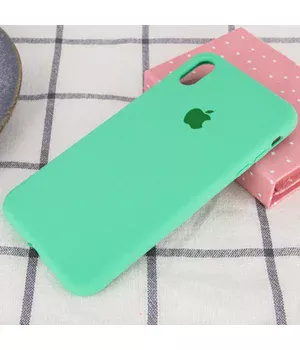 Чехол Silicone case (A) (с закрытым низом) для Apple iPhone X/XS Зеленый / Spearmint