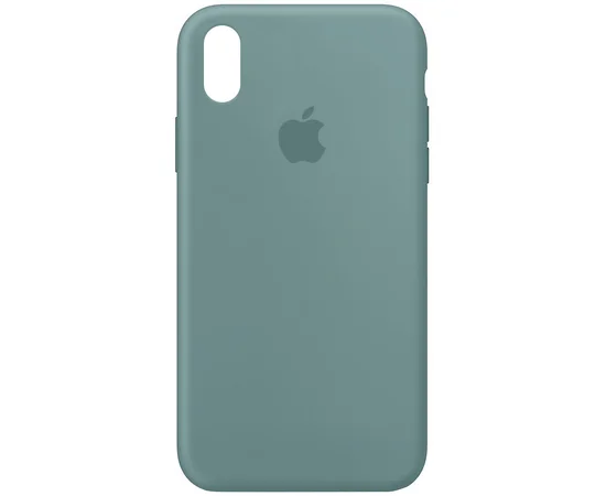 Чехол Silicone Case Full Protective (AA) для Apple iPhone XR (6.1") Зеленый / Cactus