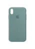Чехол Silicone Case Full Protective (AA) для Apple iPhone XR (6.1") Зеленый / Cactus