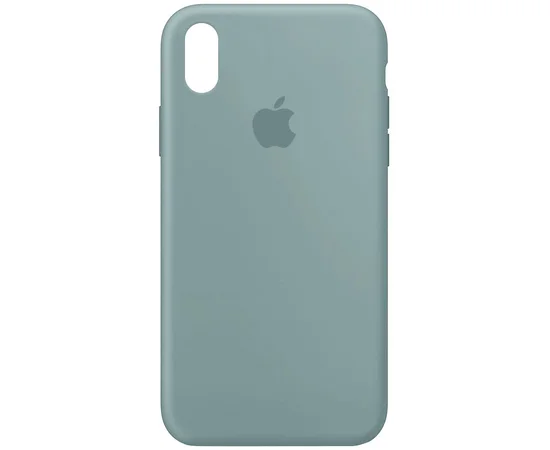 Чехол Silicone Case Full Protective (AA) для Apple iPhone XR (6.1") Зеленый / Light cactus