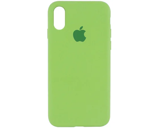 Чехол Silicone Case Full Protective (AA) для Apple iPhone XR (6.1") Мятный / Mint