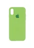 Чехол Silicone Case Full Protective (AA) для Apple iPhone XR (6.1") Мятный / Mint