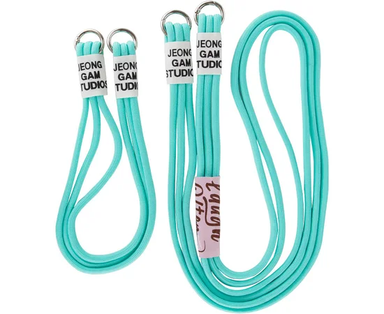 Чехол TPU two straps California для Apple iPhone XR (6.1") Бирюзовый / Marine Green