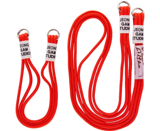 Чехол TPU two straps California для Apple iPhone XR (6.1") Красный