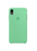 Чехол Silicone case (AAA) для Apple iPhone XR (6.1") Зеленый / Spearmint