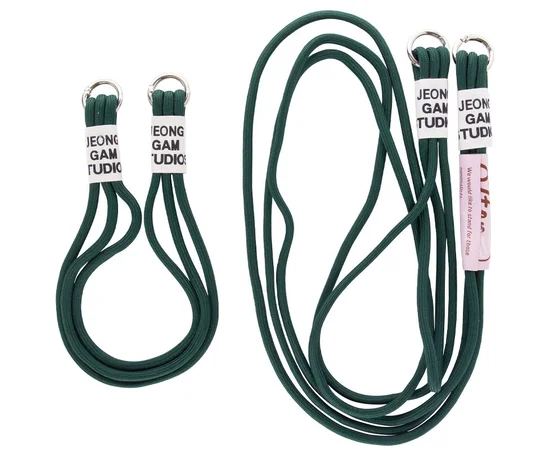 Чехол TPU two straps California для Apple iPhone XR (6.1") Зеленый / Forest green