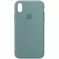 Чохол Silicone Case Full Protective (AA) для Apple iPhone XR (6.1 ") Зелений / Cactus