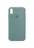 Чехол Silicone Case Full Protective (AA) для Apple iPhone XS Max (6.5") Зеленый / Cactus