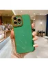 Силиконовый чехол "Enhanced Gold Plated" для iPhone 13 Pro Max Зеленый