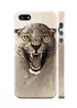 Чохол "iDAY" пластиковий для iPhone 5 / 5S / SE Дика кішка