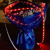 Светодиодная LED лента Hoco DL30 + remote control (4m) Black