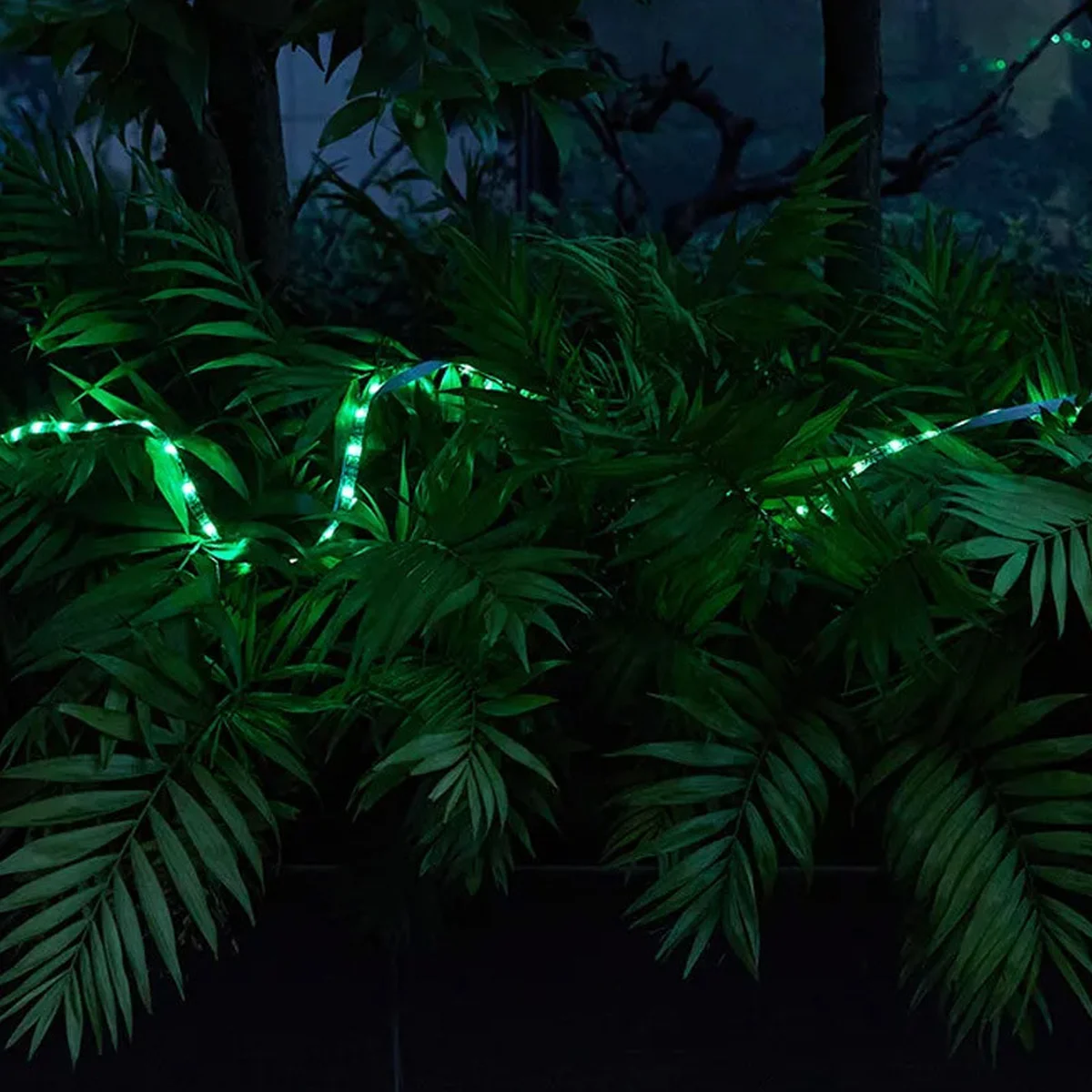 Светодиодная LED лента Hoco DL30 + remote control (4m) Black