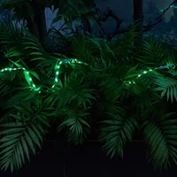 Светодиодная LED лента Hoco DL30 + remote control (4m) Black