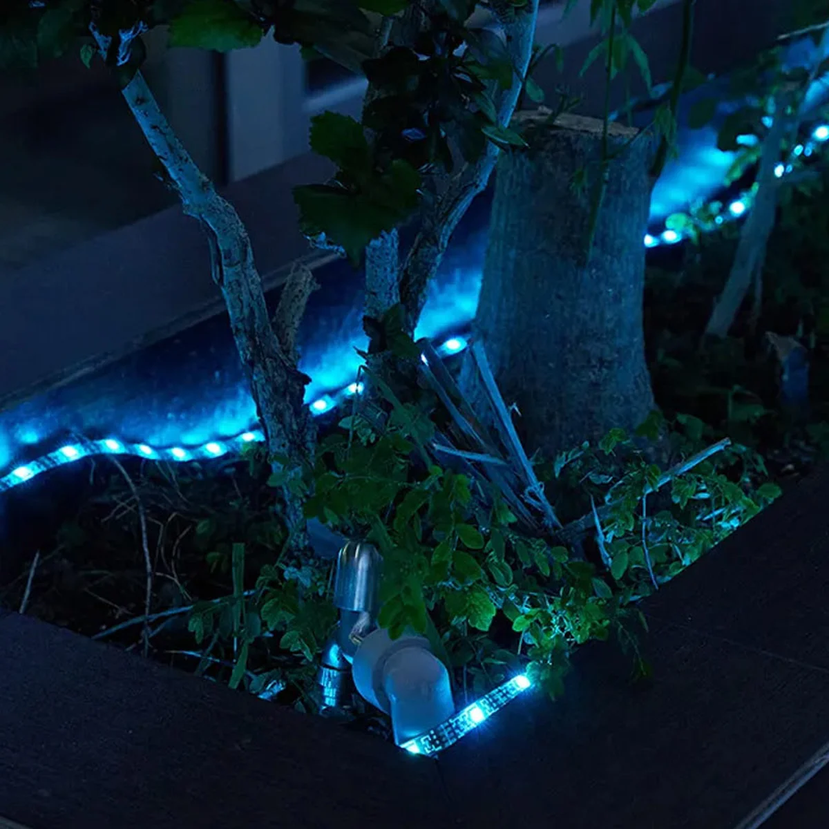 Светодиодная LED лента Hoco DL30 + remote control (4m) Black