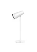 Настільна LED лампа WIWU Wi-D8 Desk Lamp 4 in1 Intelligent Magnetic Light White