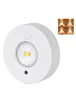 Светильник LED MZ-L3301 with remote control (3LC/1PCS) White