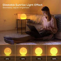 Настольный светильник SAL-010B Bluetooth USB interface with app White