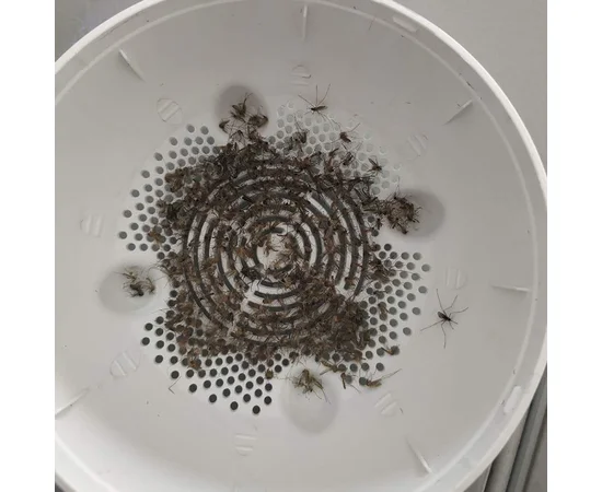 Ловушка для комаров Bionic Design Белый