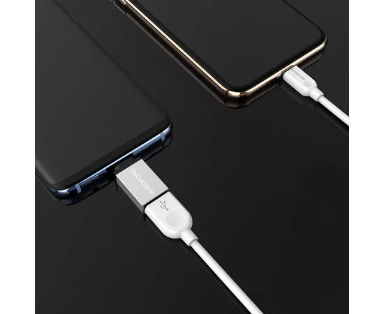 Переходник Borofone BV3 OTG to Type-C Серебряный